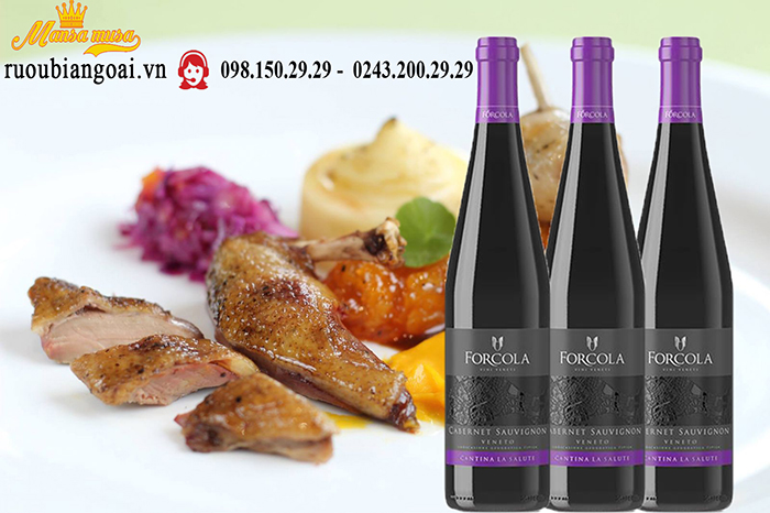 forcola-cabernet-sauvignon-1  Vang Forcola Cabernet Sauvignon
